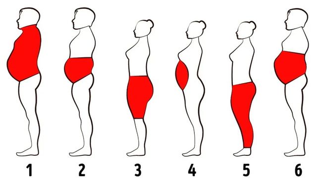 bob体官方入口6个复合健身动作在家减掉多余赘肉提升身材比例！(图1)