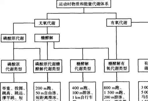 bob体官方入口健身须知：如何判断减脂减肥运动的效果？BOB体验官网BOB体验官网平台网址(图2)